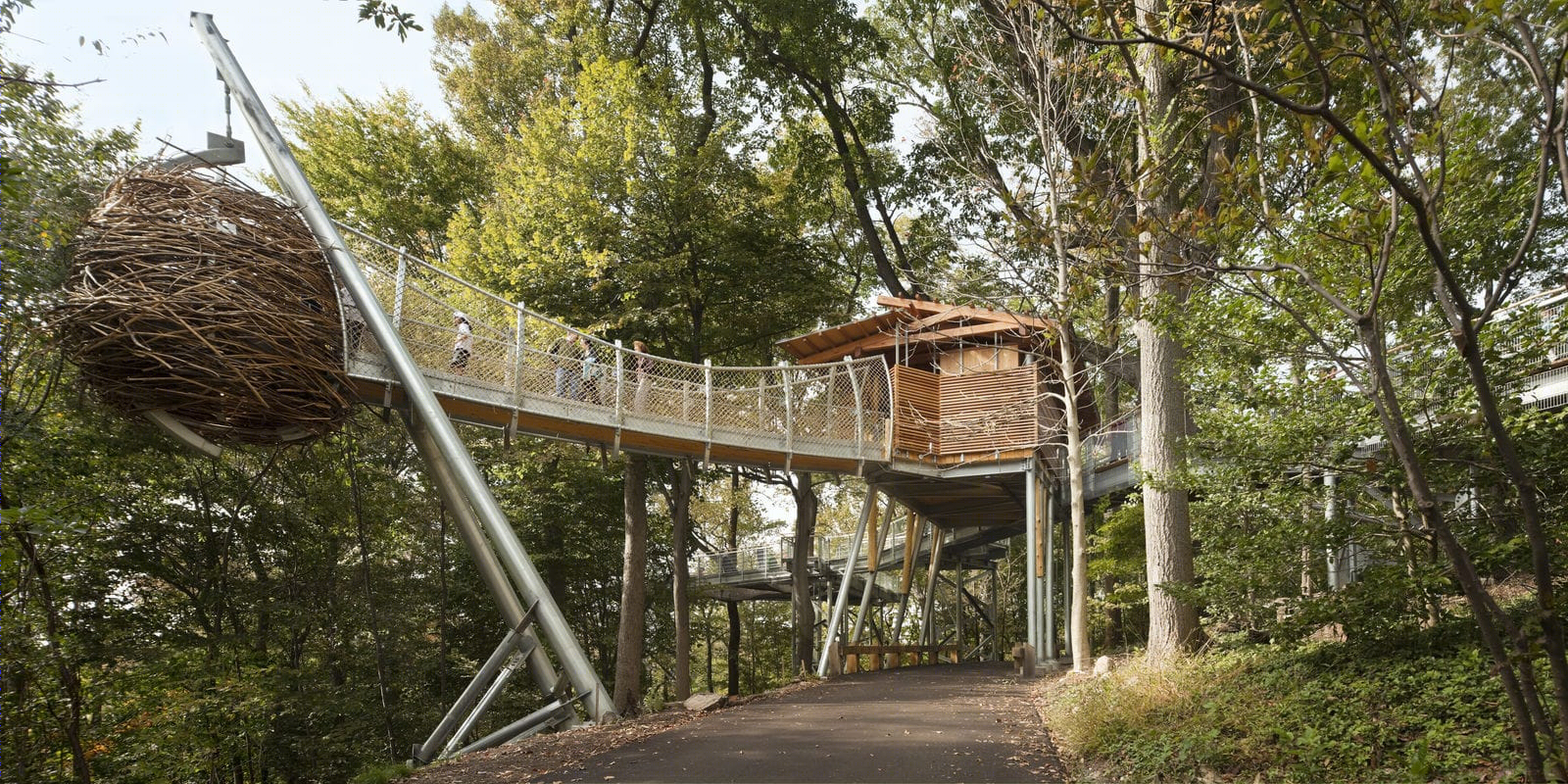 莫里斯植物园树梢装置丨Metcalfe Architecture & Design-4