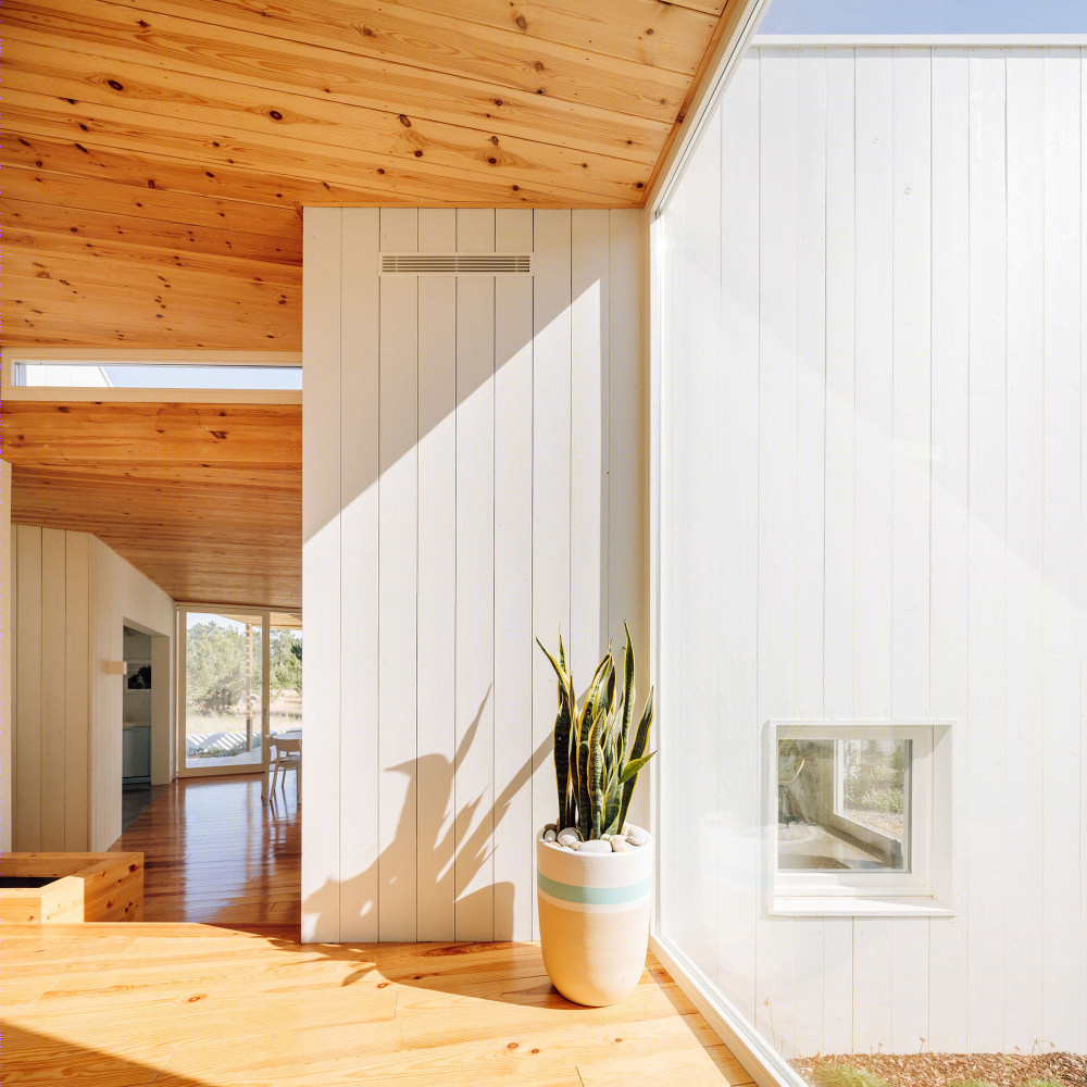 葡萄牙沙丘上的“木盒子”家园-26