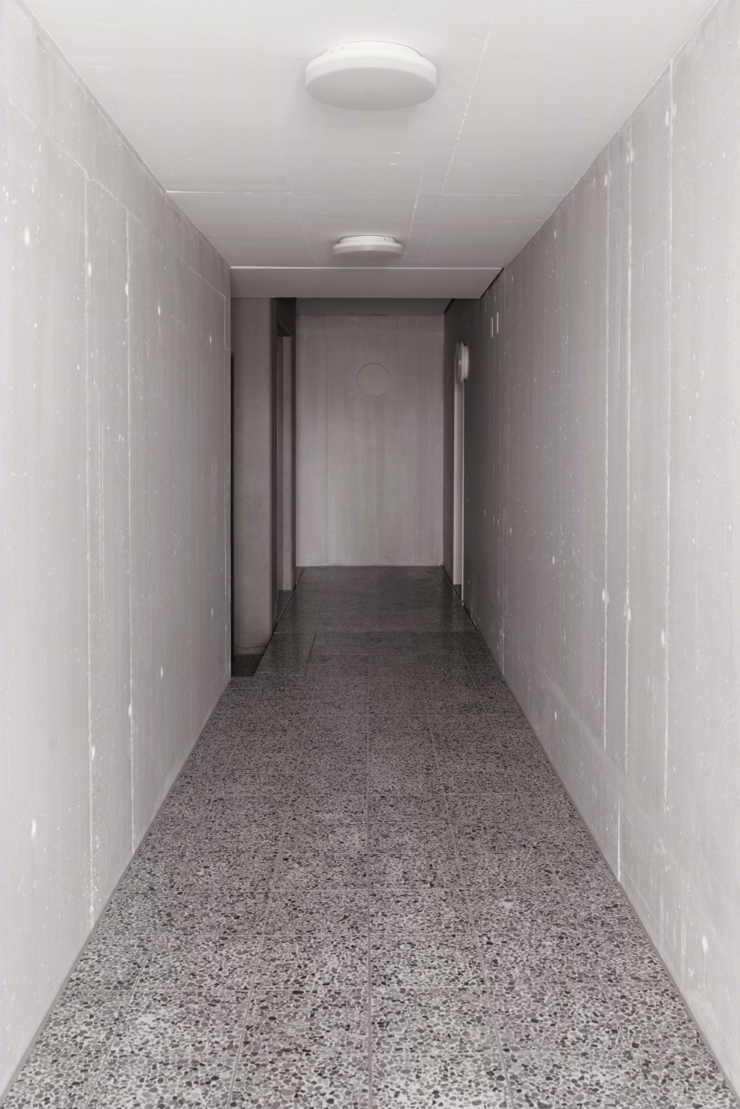 瑞士穆尔 HDPF 设计极简住宅 温暖木质与明亮白墙的对比-8