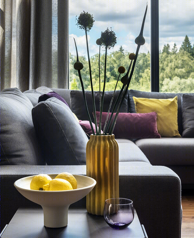 莫斯科 500m²乡间别墅  BIGO-10