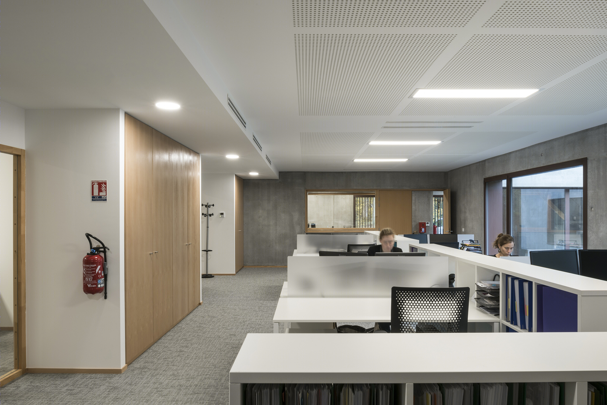 落叶林中的皮肤病实验室-22