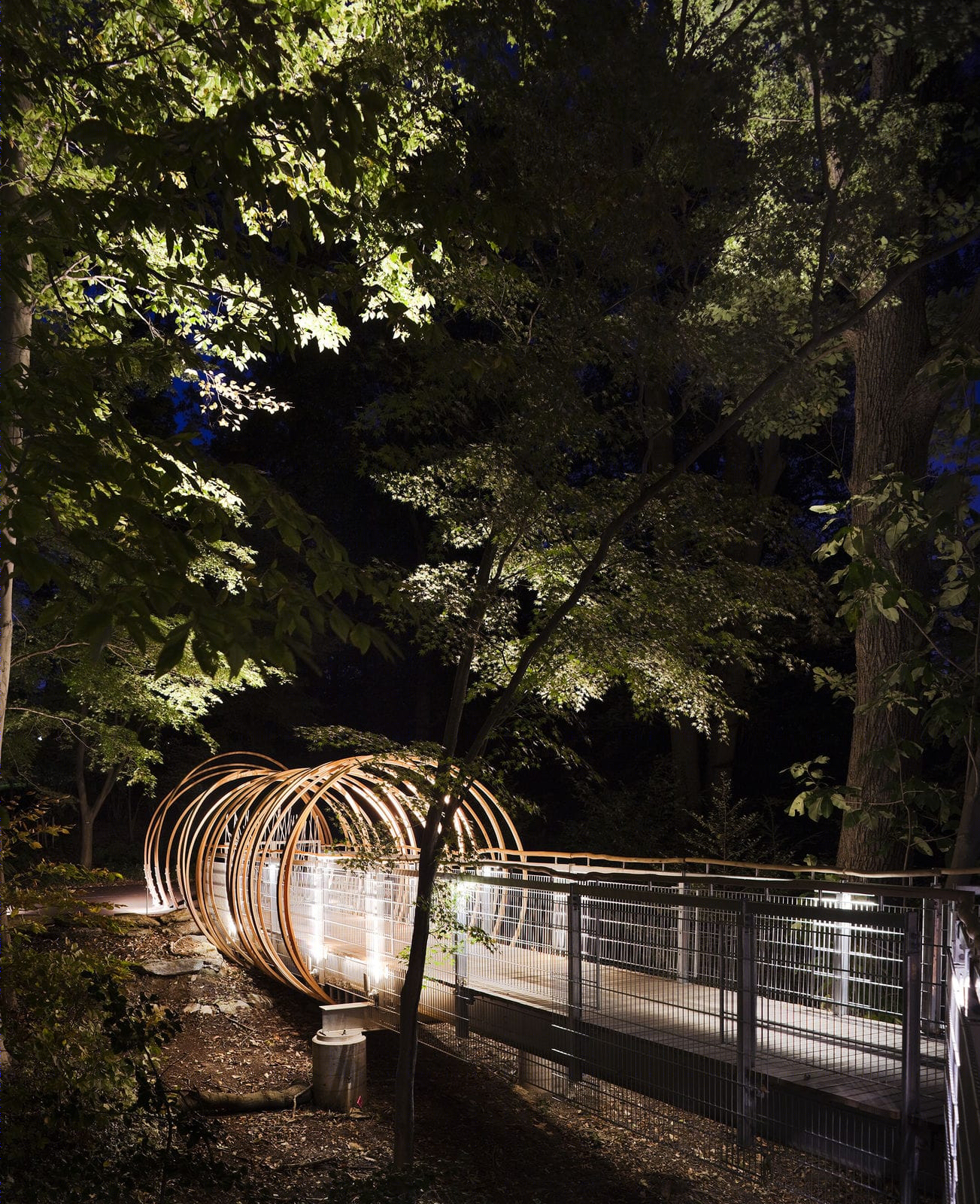 莫里斯植物园树梢装置丨Metcalfe Architecture & Design-10