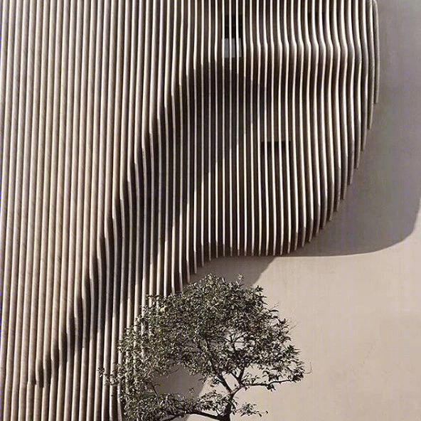 一个克莱奥梅诺斯-19