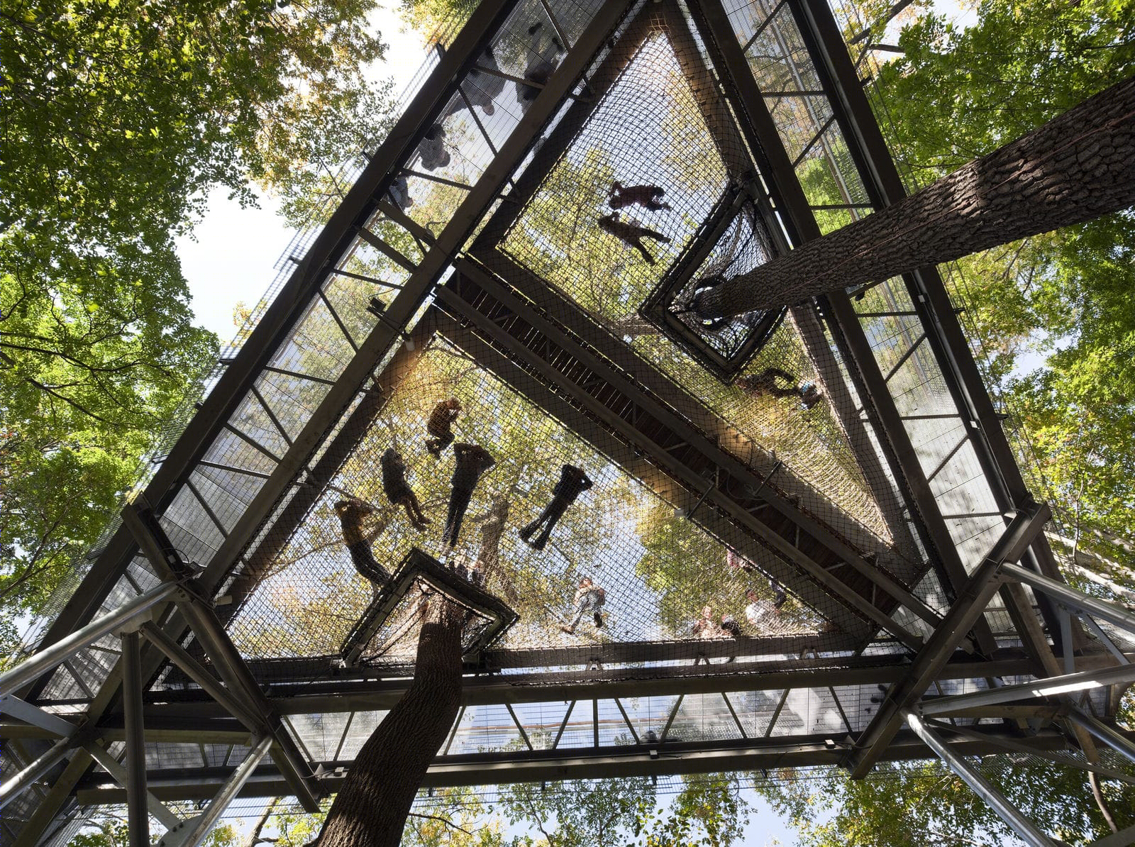 莫里斯植物园树梢装置丨Metcalfe Architecture & Design-13