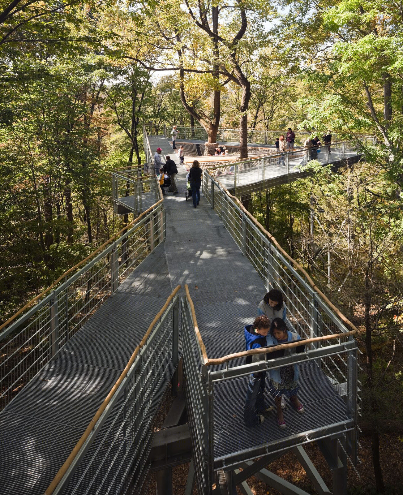 莫里斯植物园树梢装置丨Metcalfe Architecture & Design-14