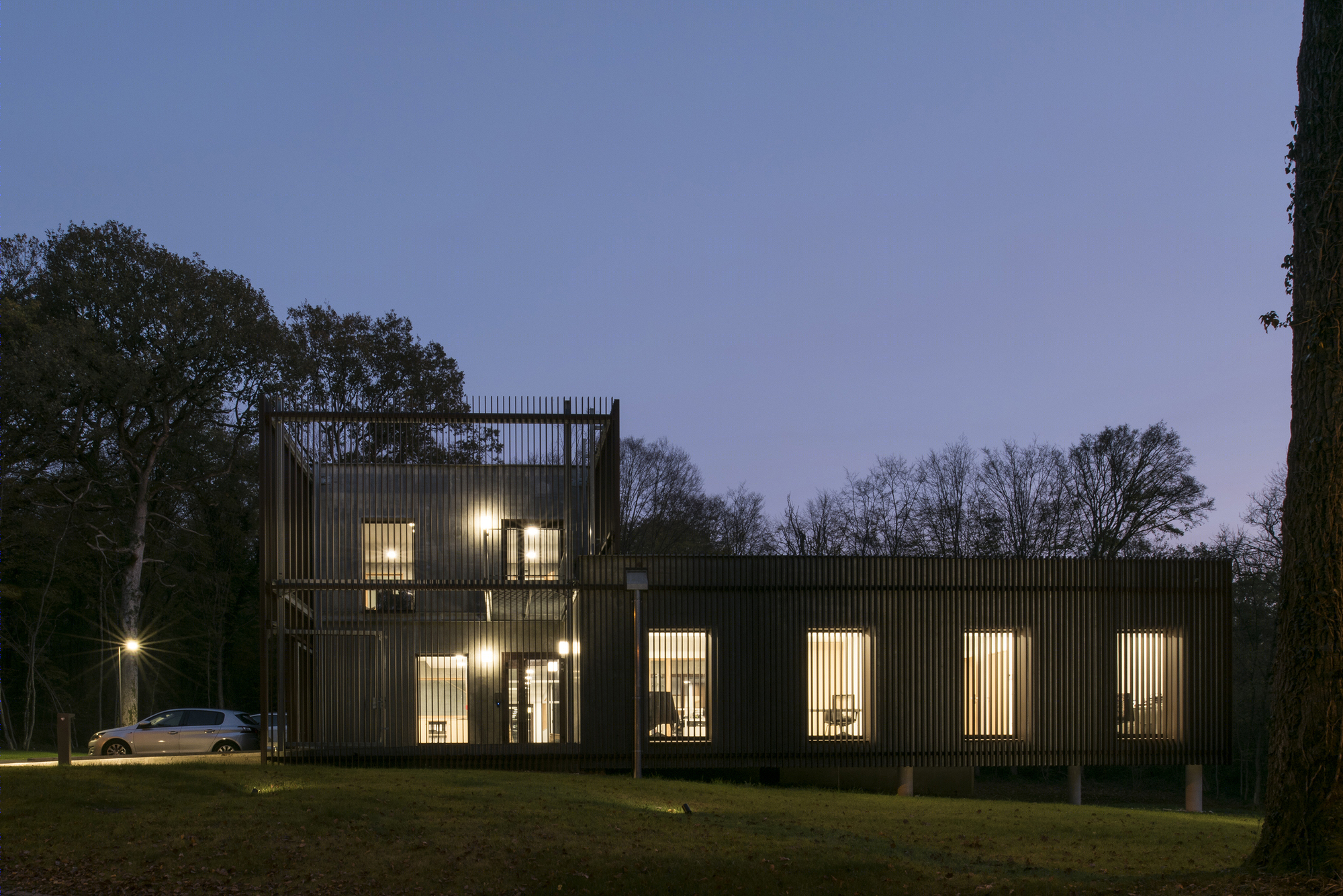 落叶林中的皮肤病实验室-23