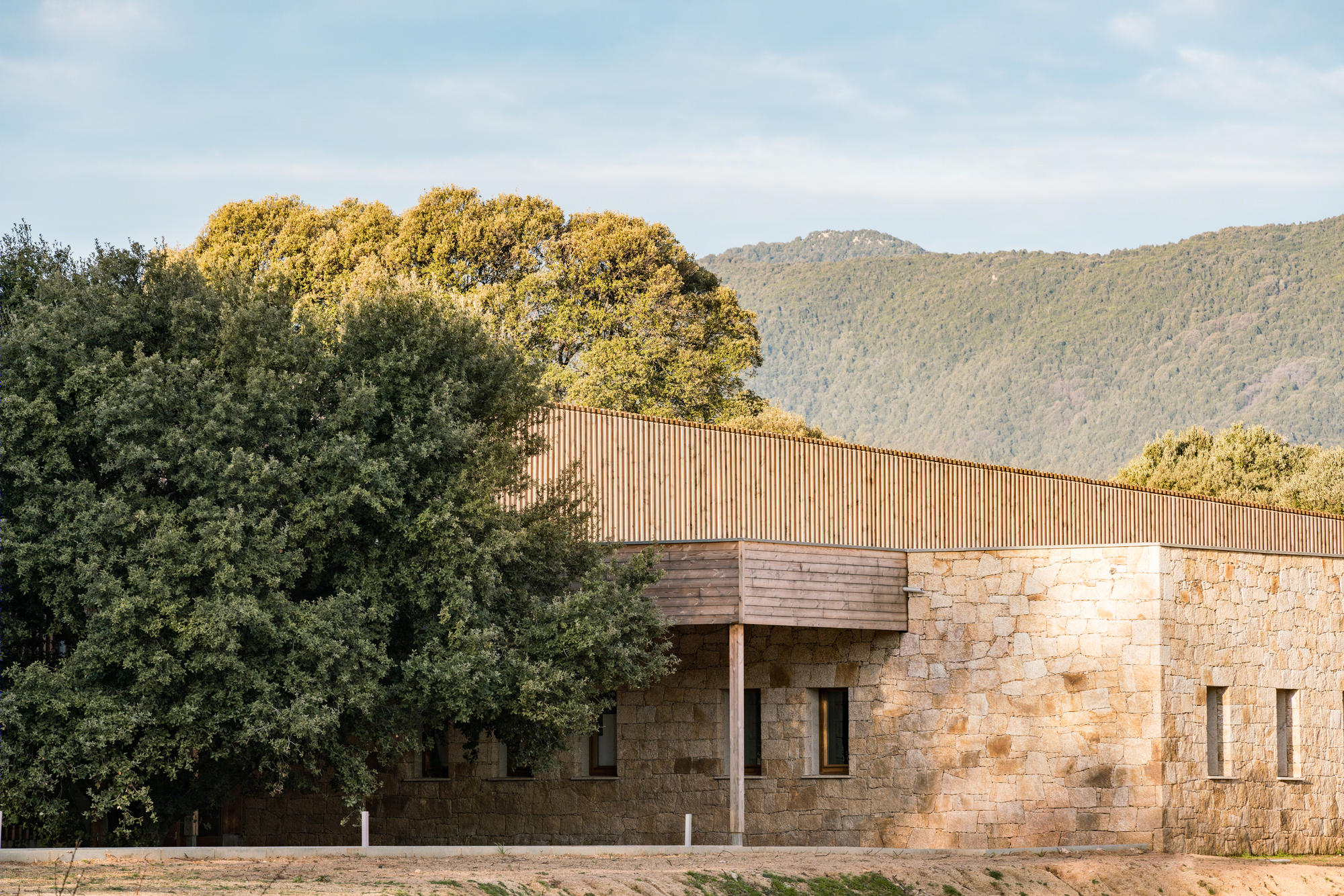 Strega 学校 | 绿意盎然的自然共生建筑-11