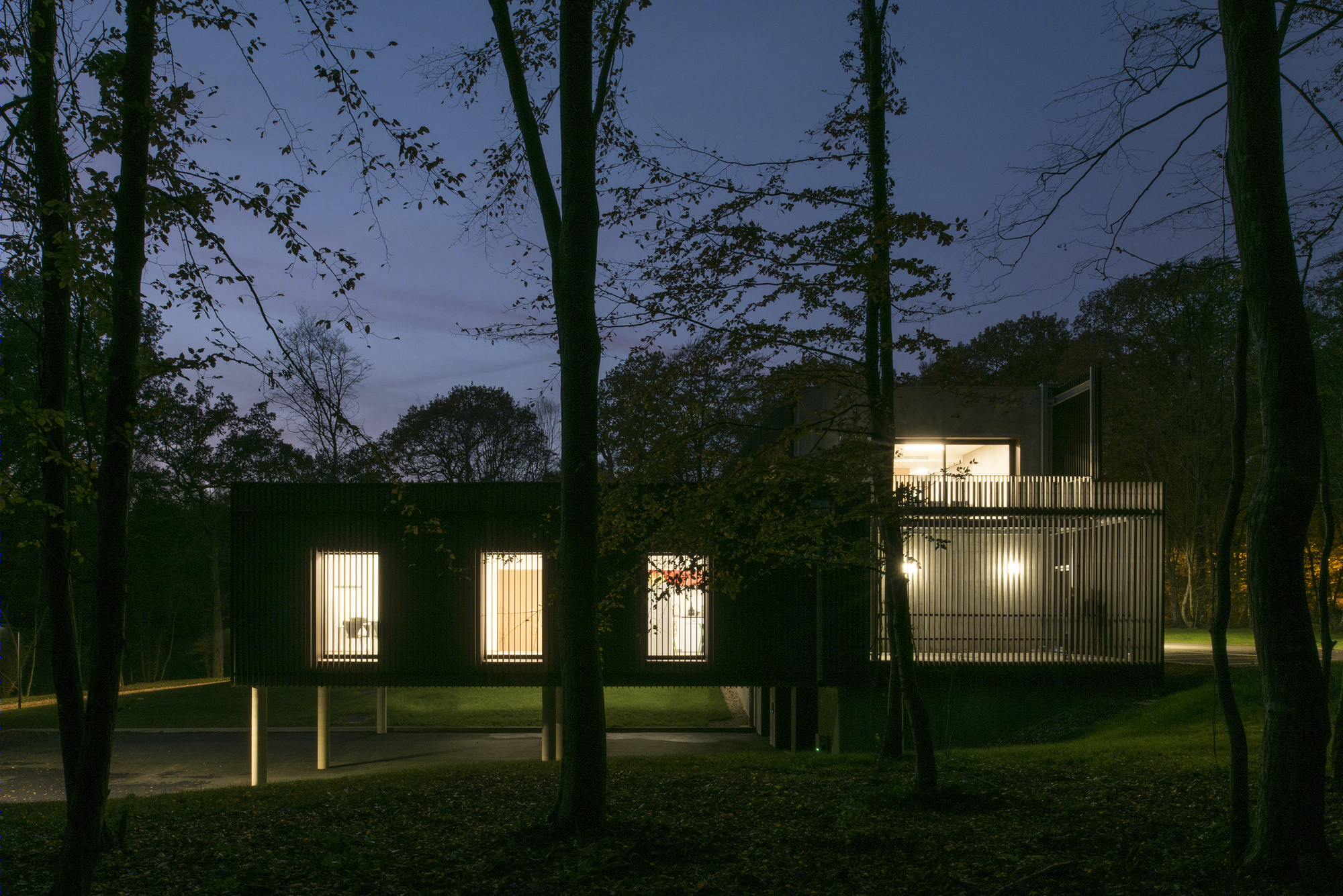 落叶林中的皮肤病实验室-24