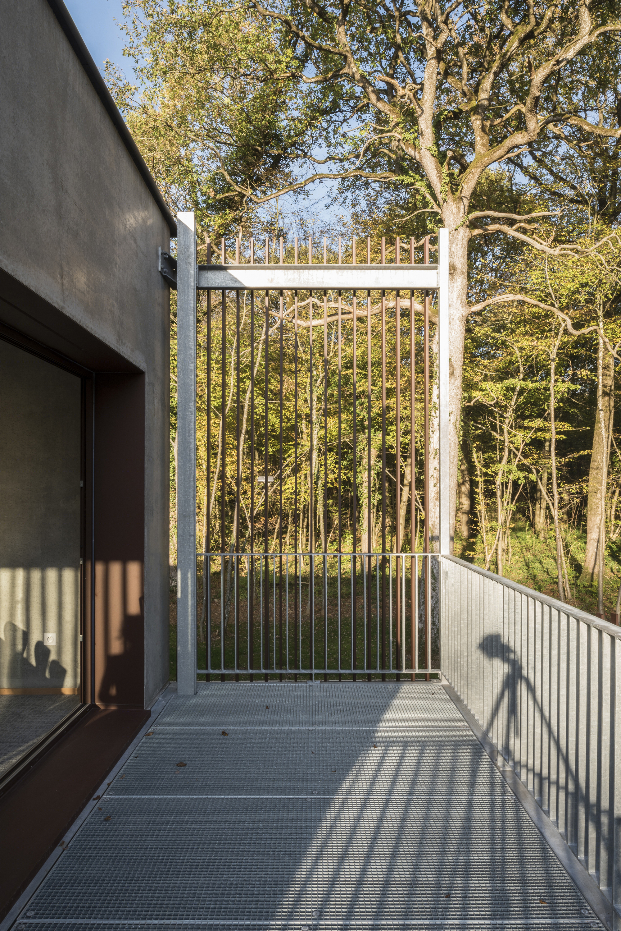 落叶林中的皮肤病实验室-25