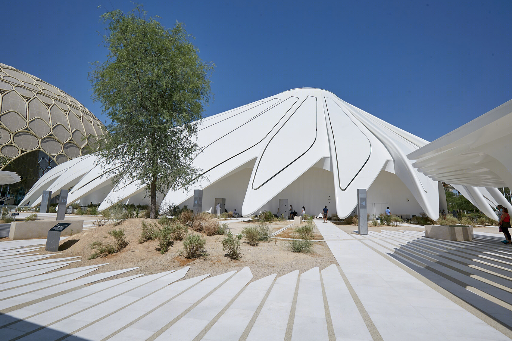 2020 年世博会阿联酋馆丨Kossmanndejong 和 Tellart-39