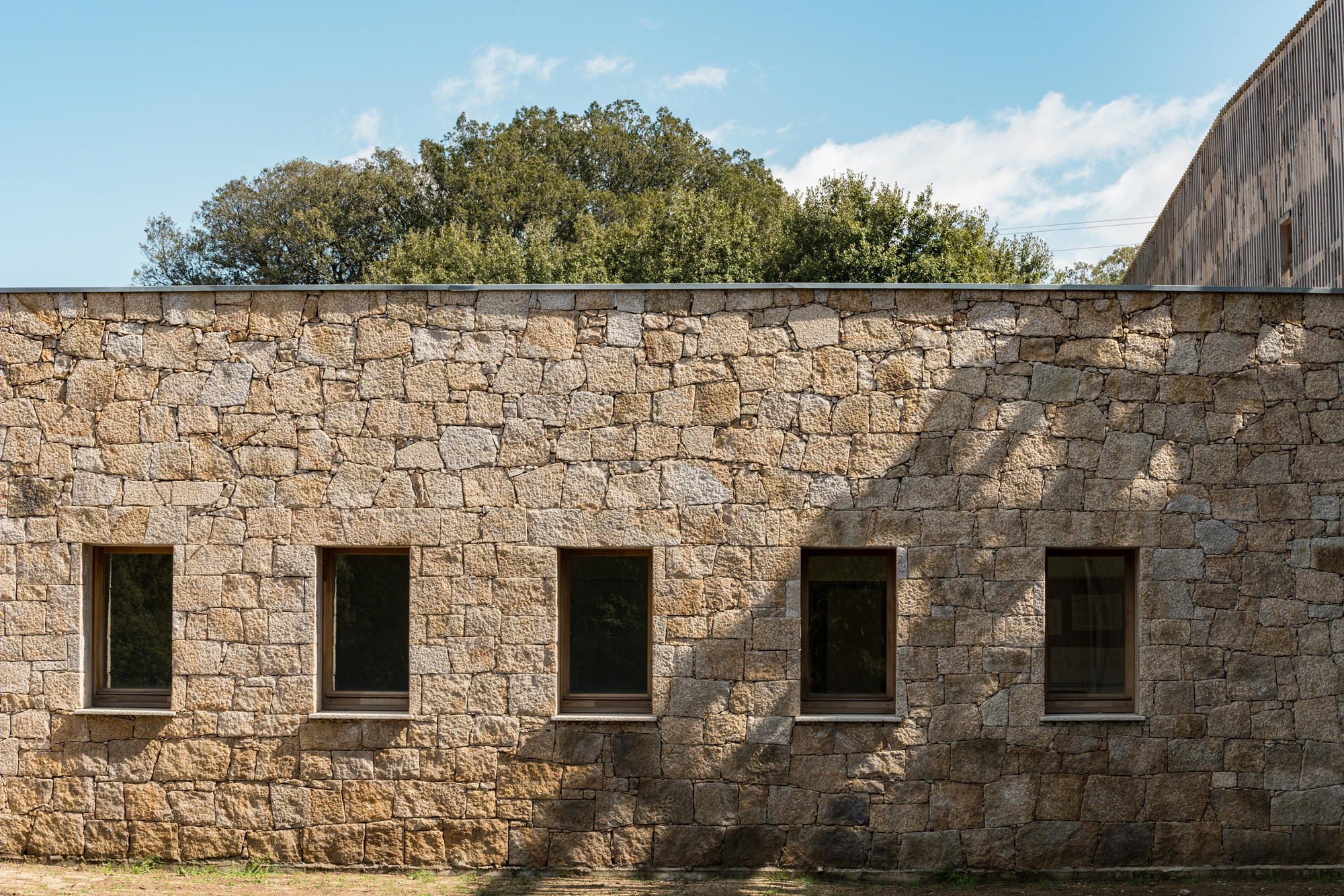 Strega 学校 | 绿意盎然的自然共生建筑-15