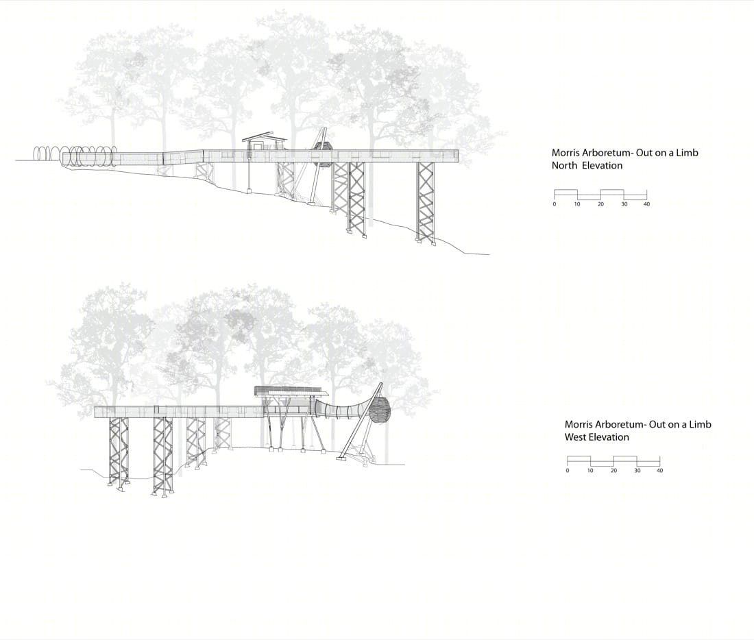 莫里斯植物园树梢装置丨Metcalfe Architecture & Design-18