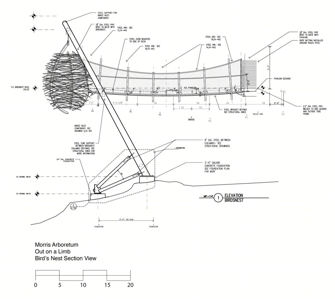 莫里斯植物园树梢装置丨Metcalfe Architecture & Design-19