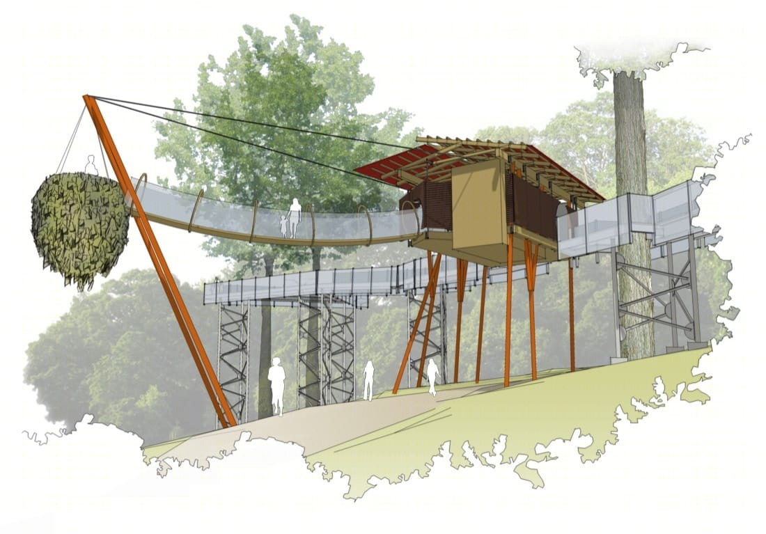 莫里斯植物园树梢装置丨Metcalfe Architecture & Design-20