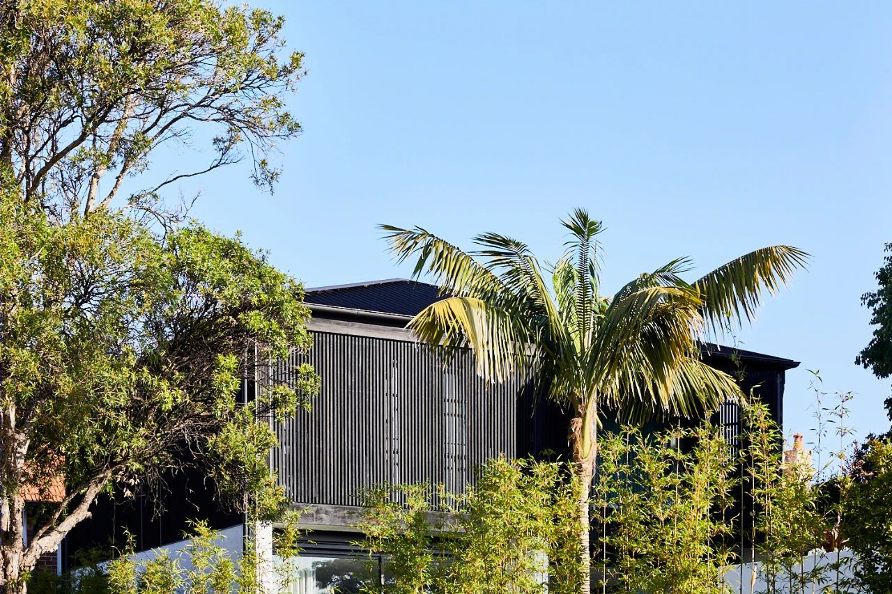 Carthona House | 悉尼 Mosman 联邦风格别墅的现代扩展-43