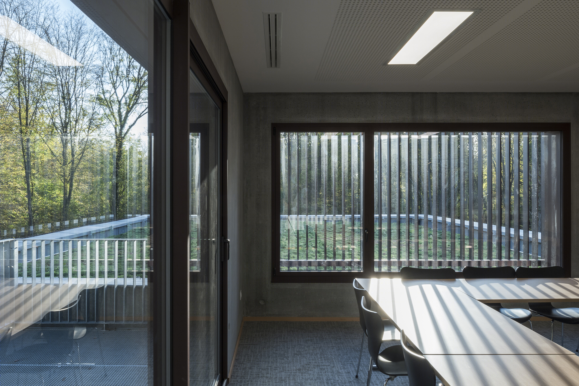 落叶林中的皮肤病实验室-27