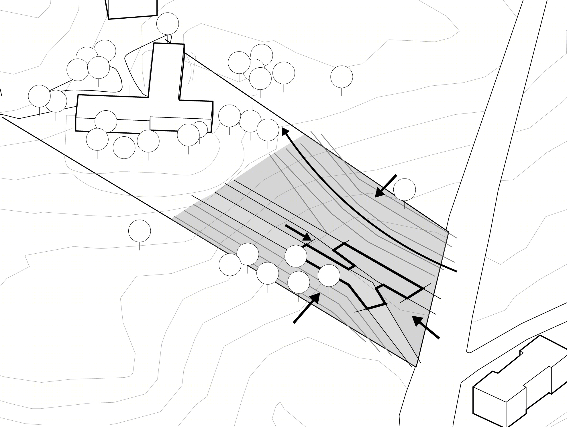 Rosa Parks 社区中心-31