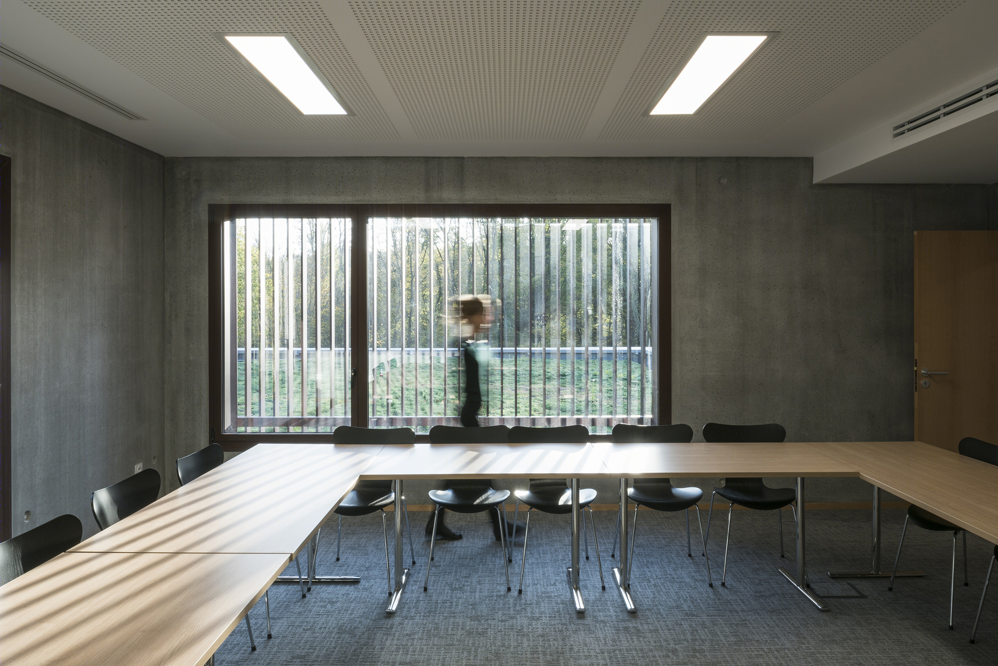 落叶林中的皮肤病实验室-26