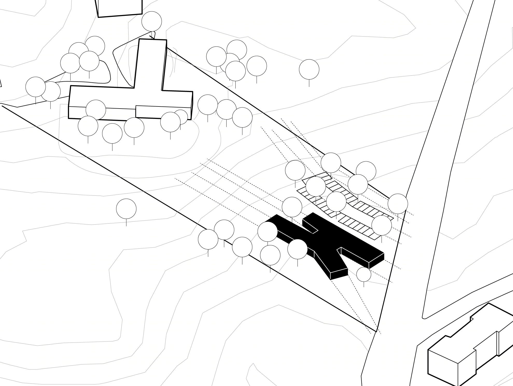 Rosa Parks 社区中心-32