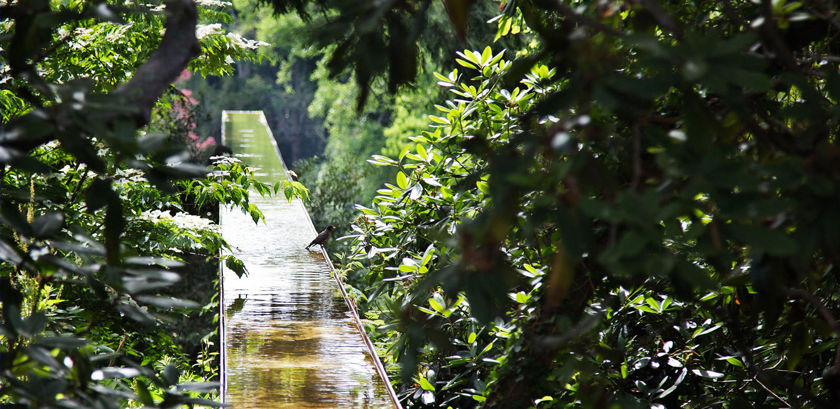 Heritage Flume水景装置-34