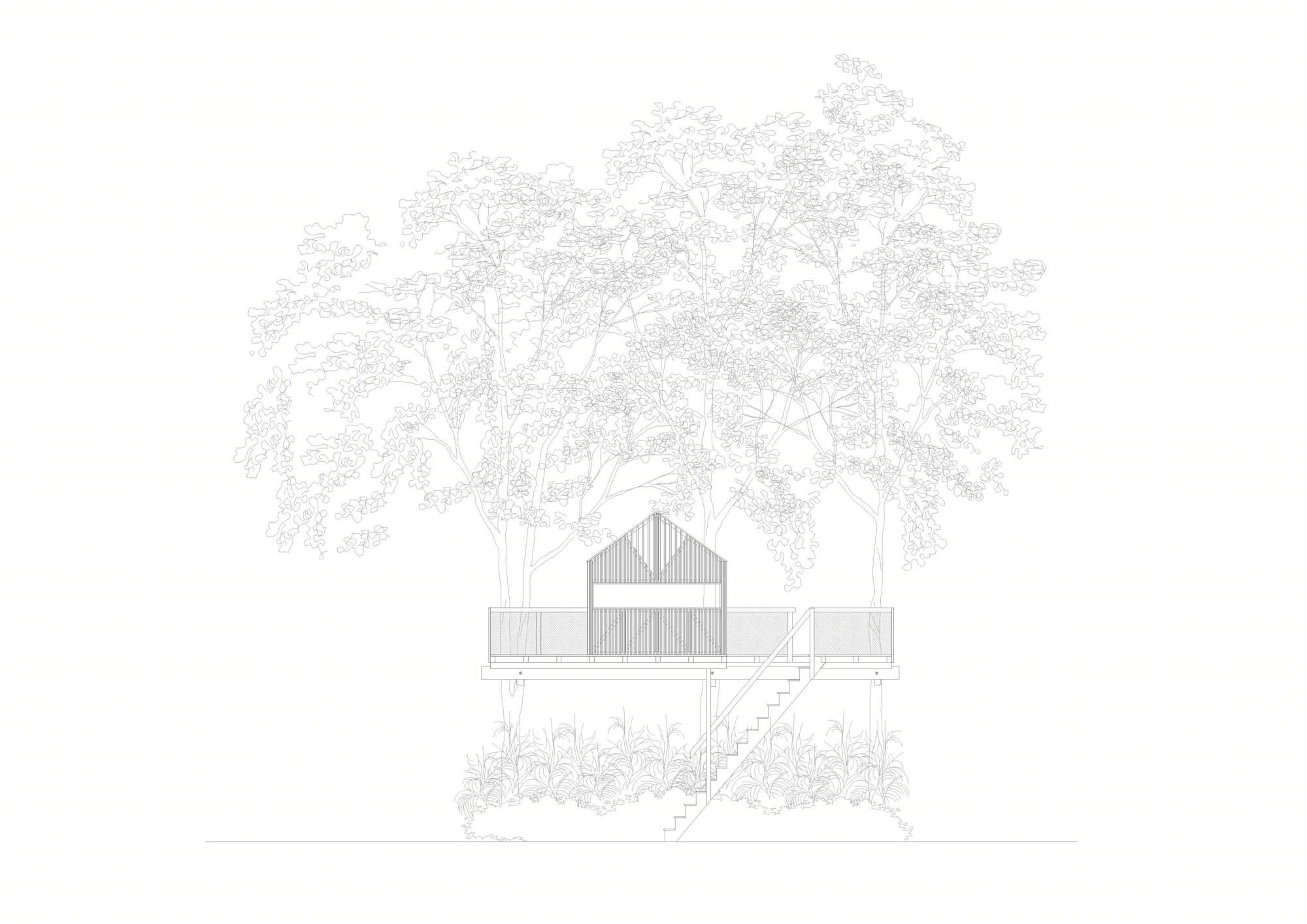 祖父为孙子们设计的自然树屋-4