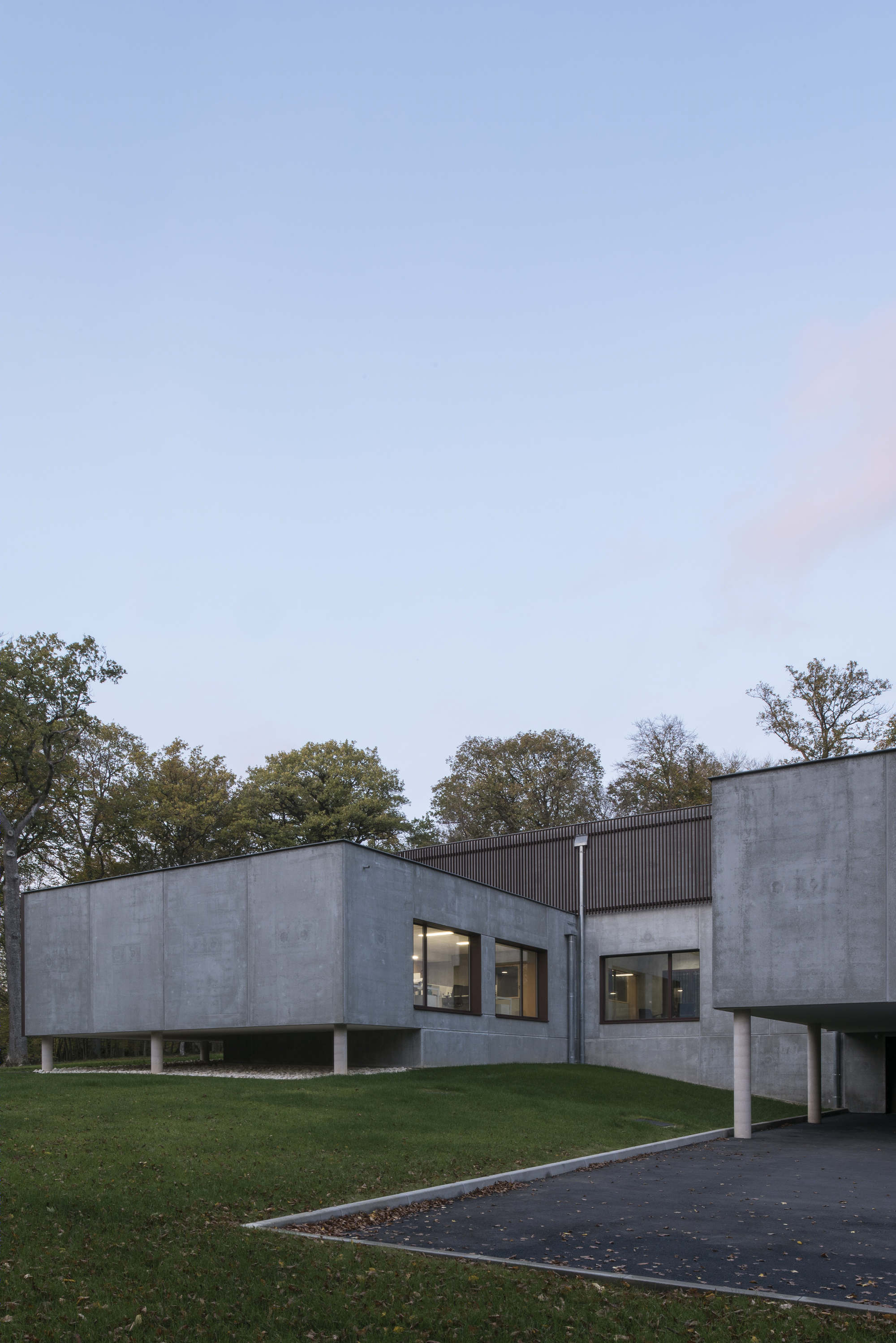 落叶林中的皮肤病实验室-28