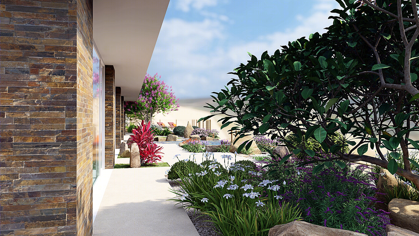 Desert View - Landscape Design for a Californian Yard-4