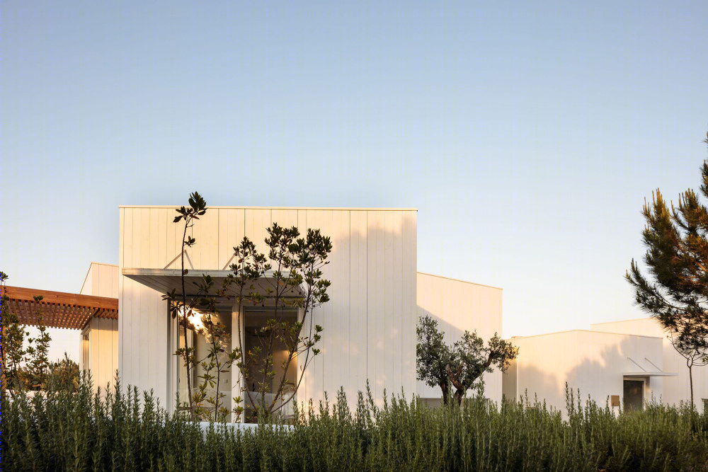 葡萄牙沙丘上的“木盒子”家园-37