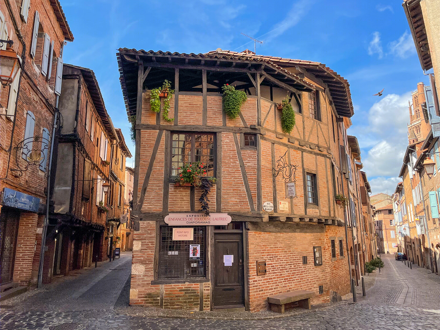 Anastasiya Gushchina丨公寓建筑丨Albi - France-0