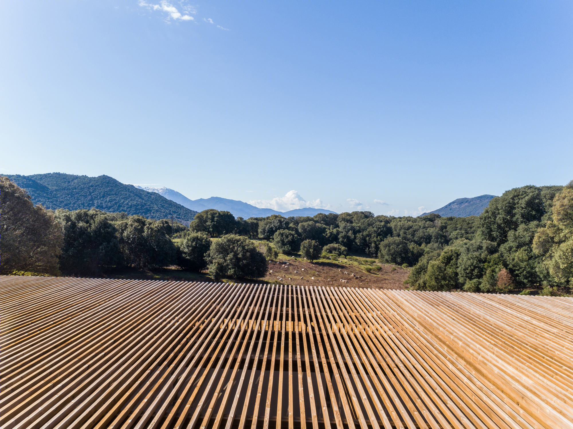 Strega 学校 | 绿意盎然的自然共生建筑-18