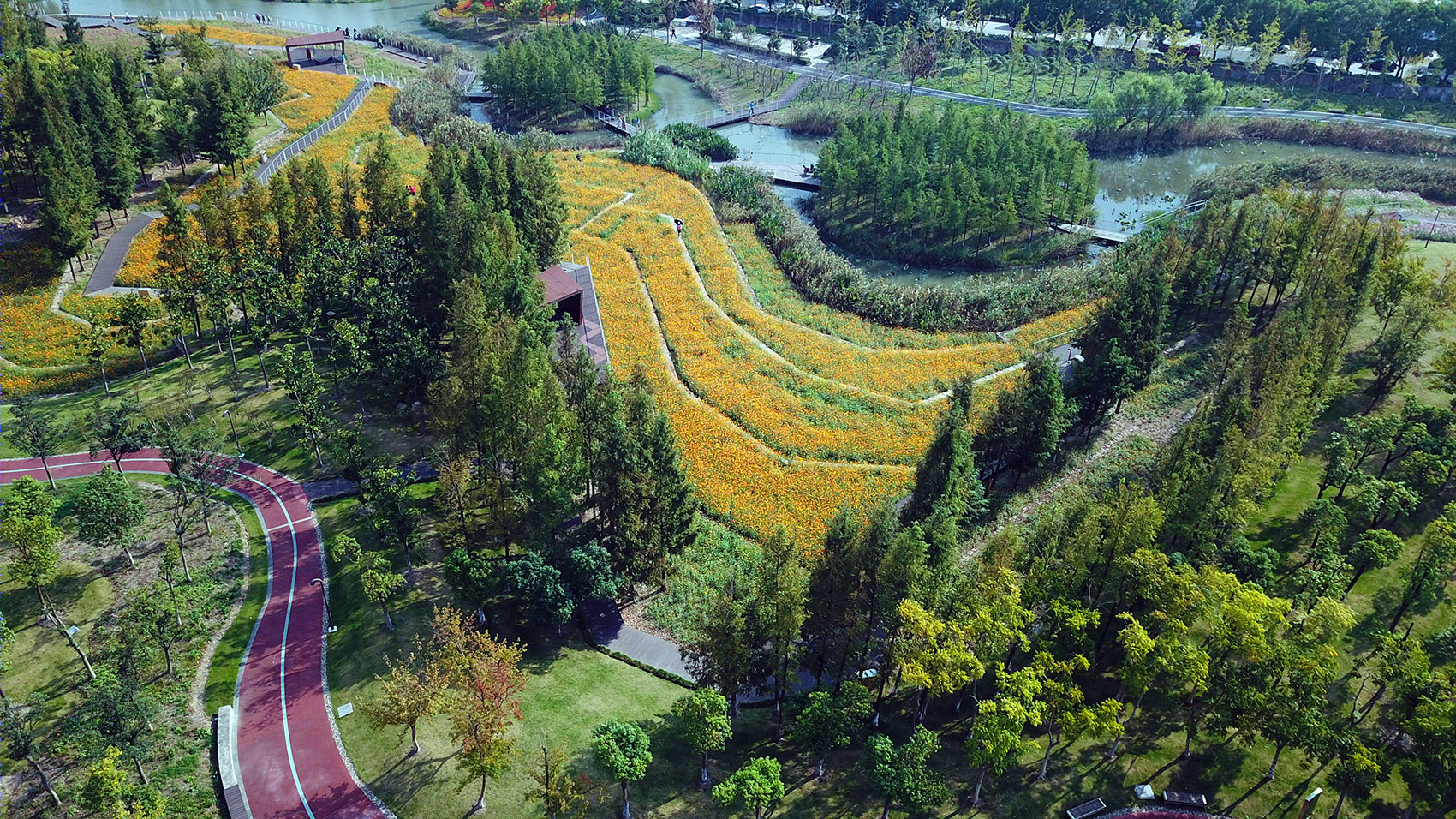 海绵绿道:宁波市东部新城生态走廊（三期）丨中国宁波-17