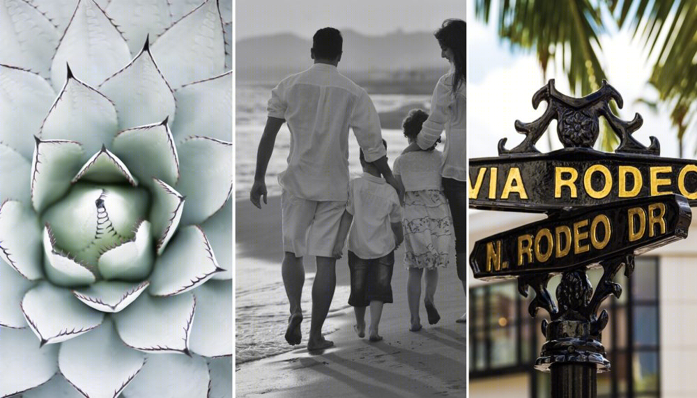 洛杉矶 Santa Monica 区 Beverly West 住宅样板房设计-45