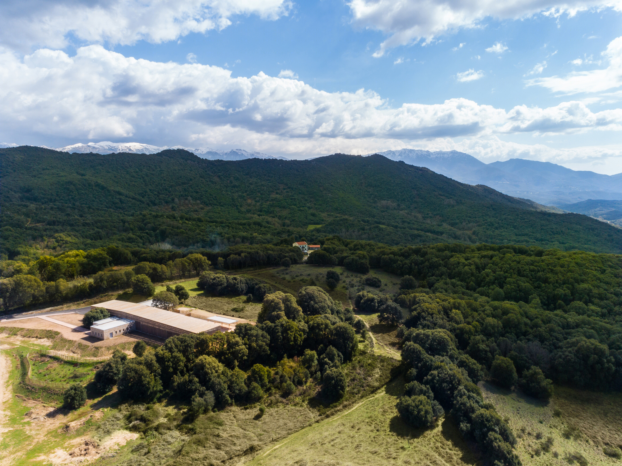 Strega 学校 | 绿意盎然的自然共生建筑-21