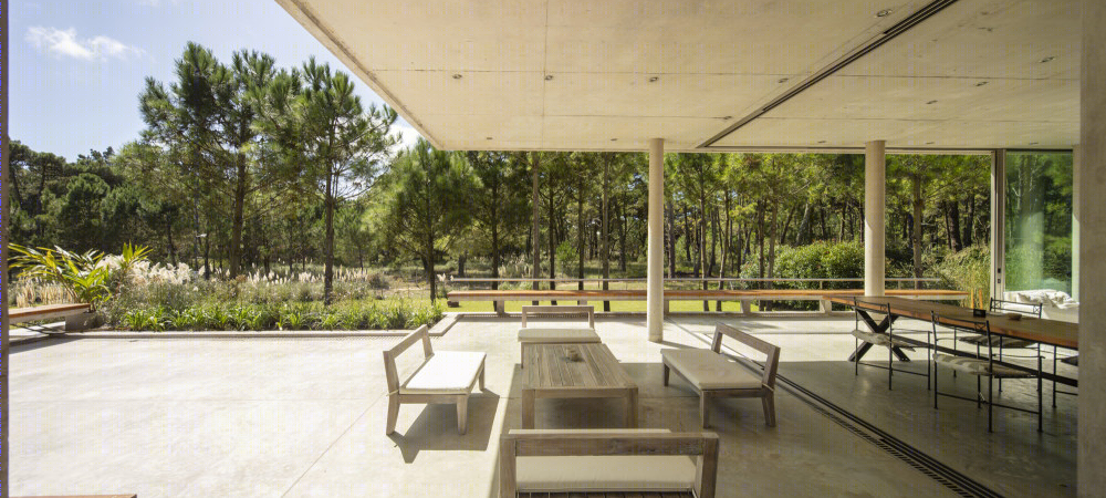 嵌入松林的静谧别墅-12