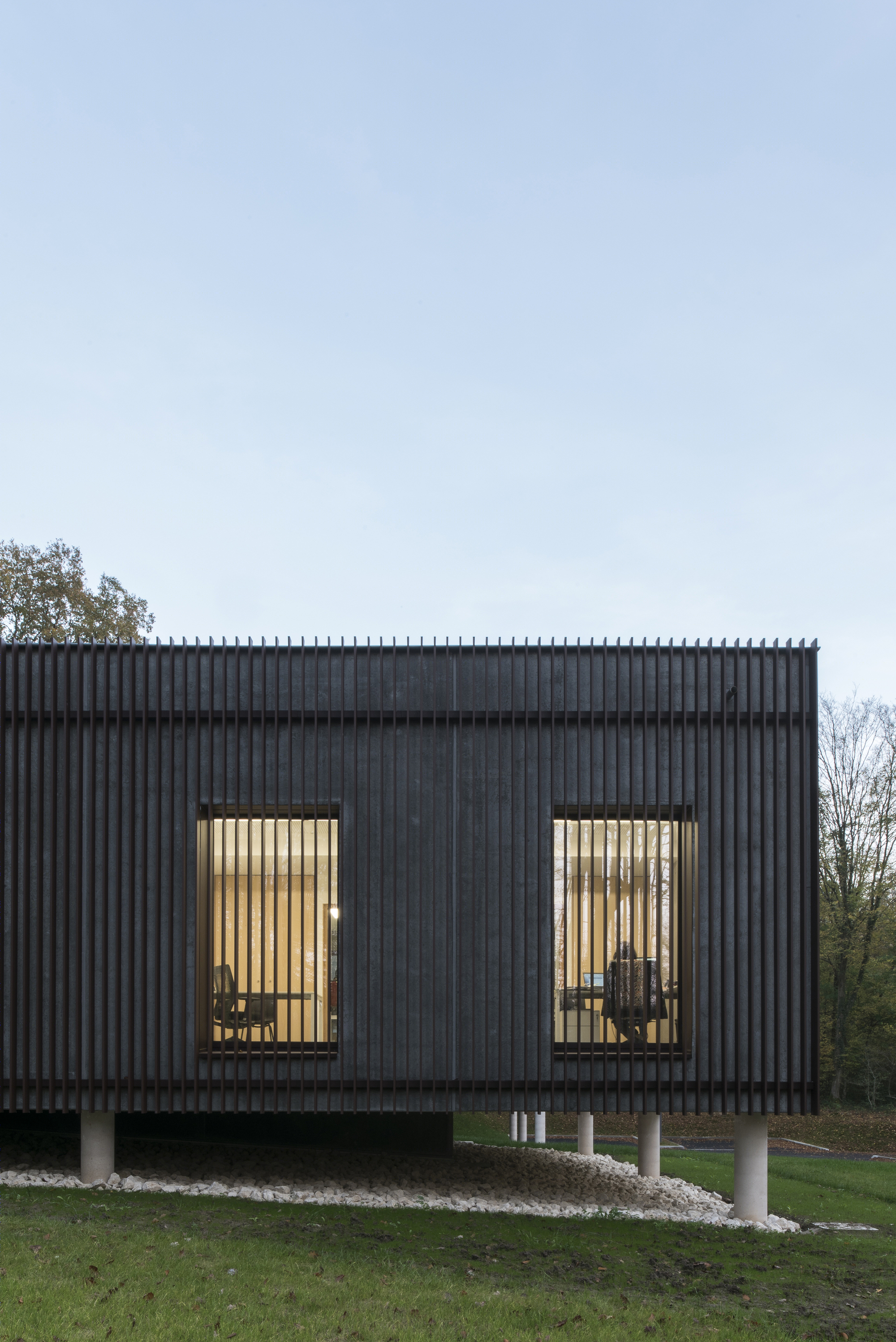 落叶林中的皮肤病实验室-34