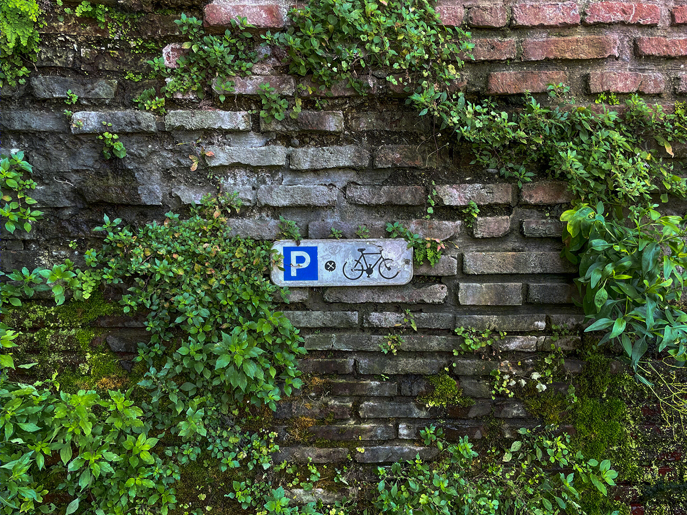 Anastasiya Gushchina丨公寓建筑丨Albi - France-3