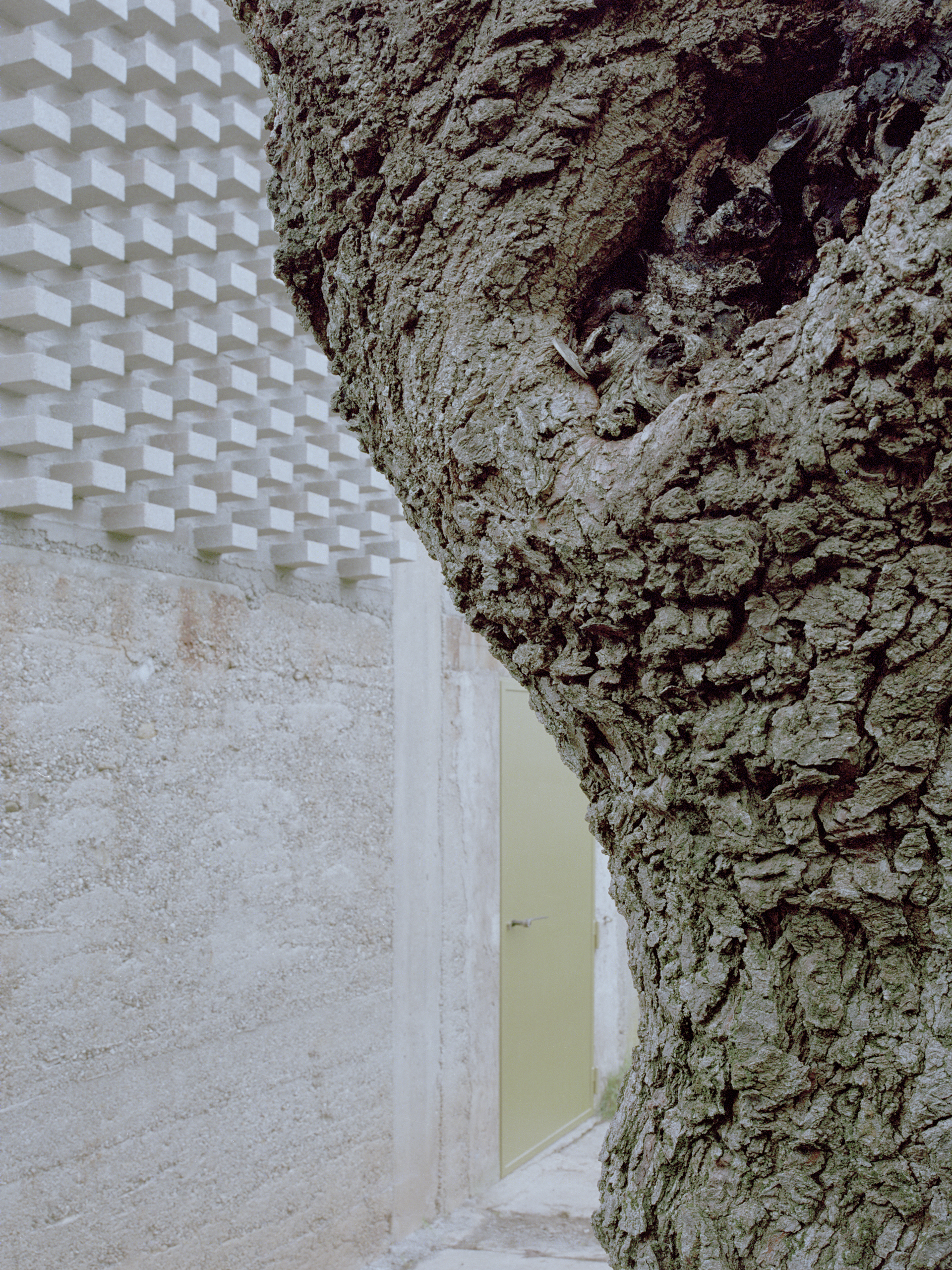 绿色之光 · 乡村小屋的生态改造丨意大利-16