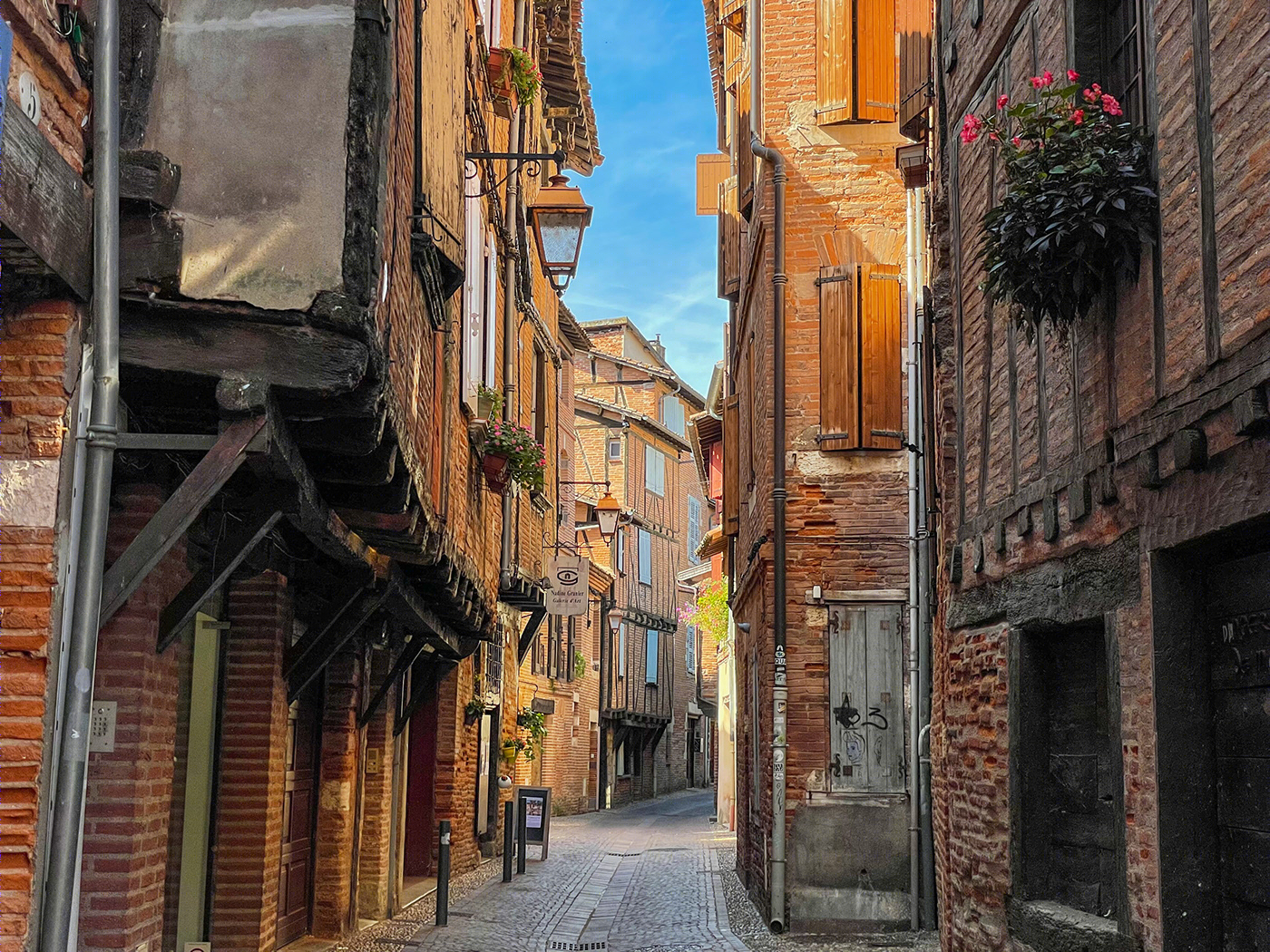 Anastasiya Gushchina丨公寓建筑丨Albi - France-2