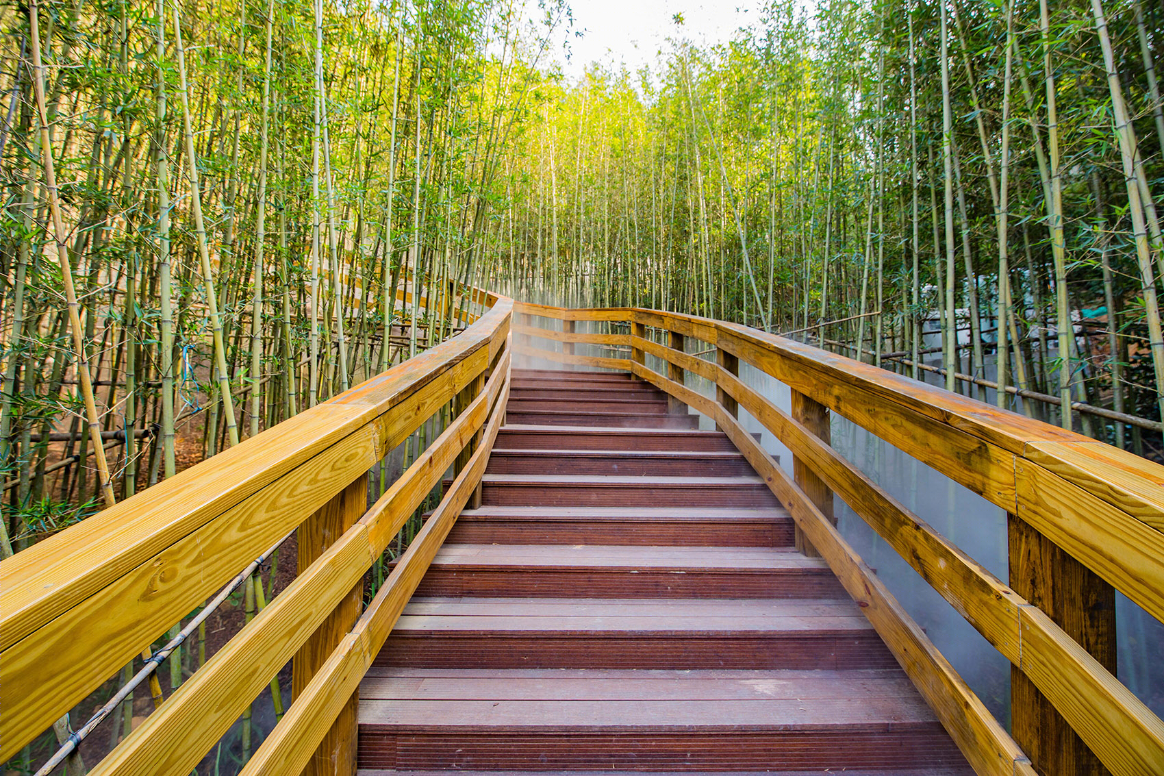 深圳市龙华环城绿道羊台山段丨深圳市蕾奥规划设计咨询股份有限公司-16