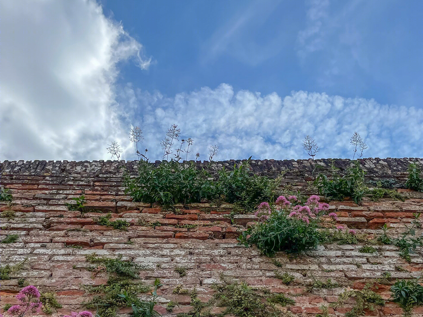 Anastasiya Gushchina丨公寓建筑丨Albi - France-5