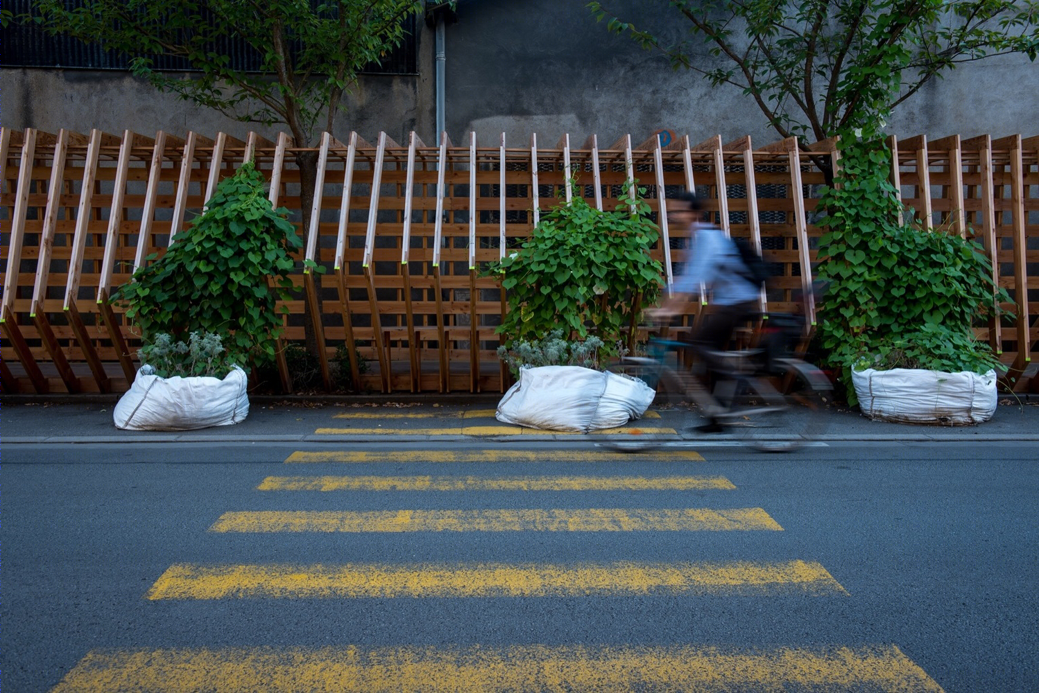 振荡工作室向量-46