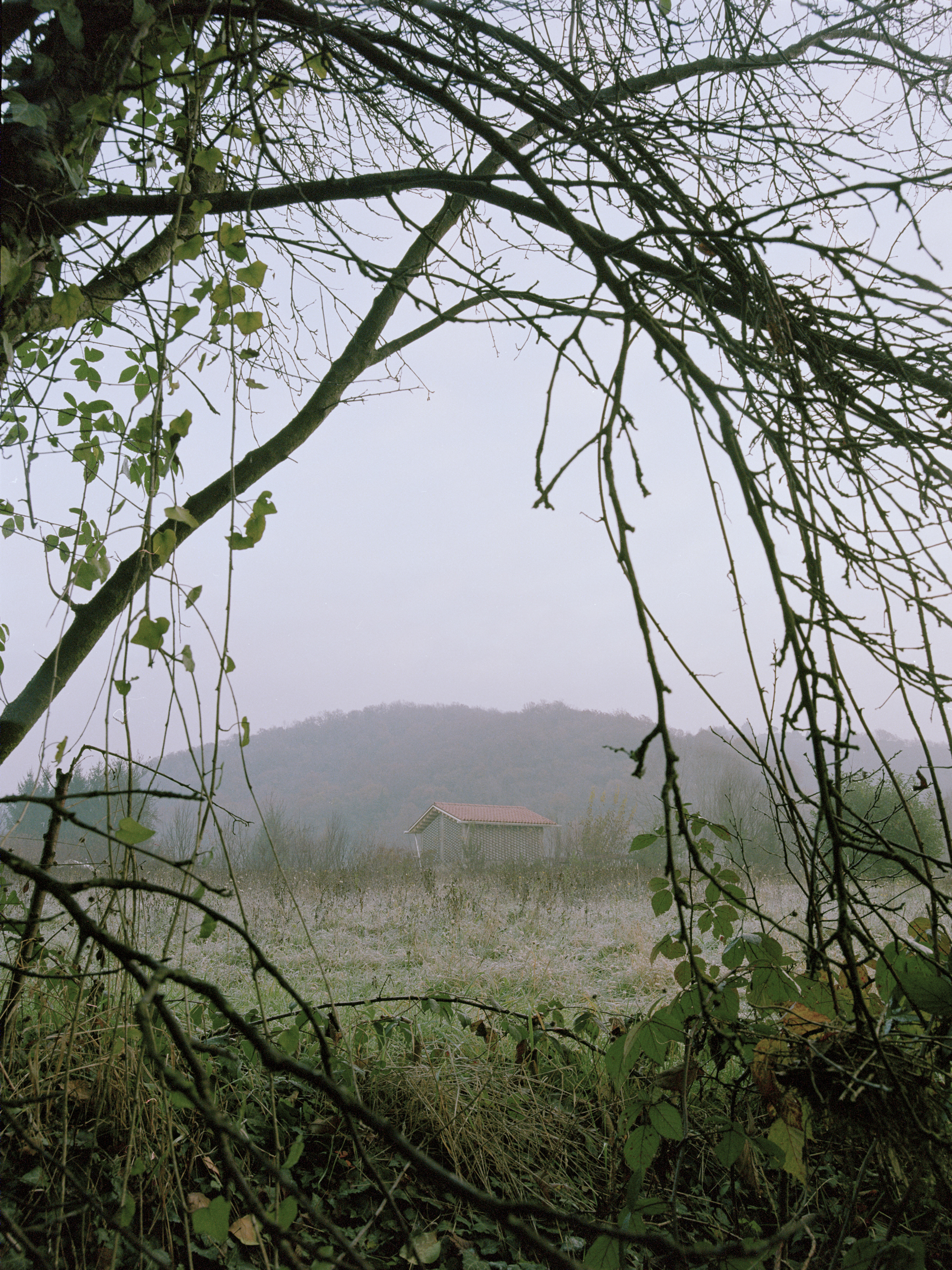 绿色之光 · 乡村小屋的生态改造丨意大利-17