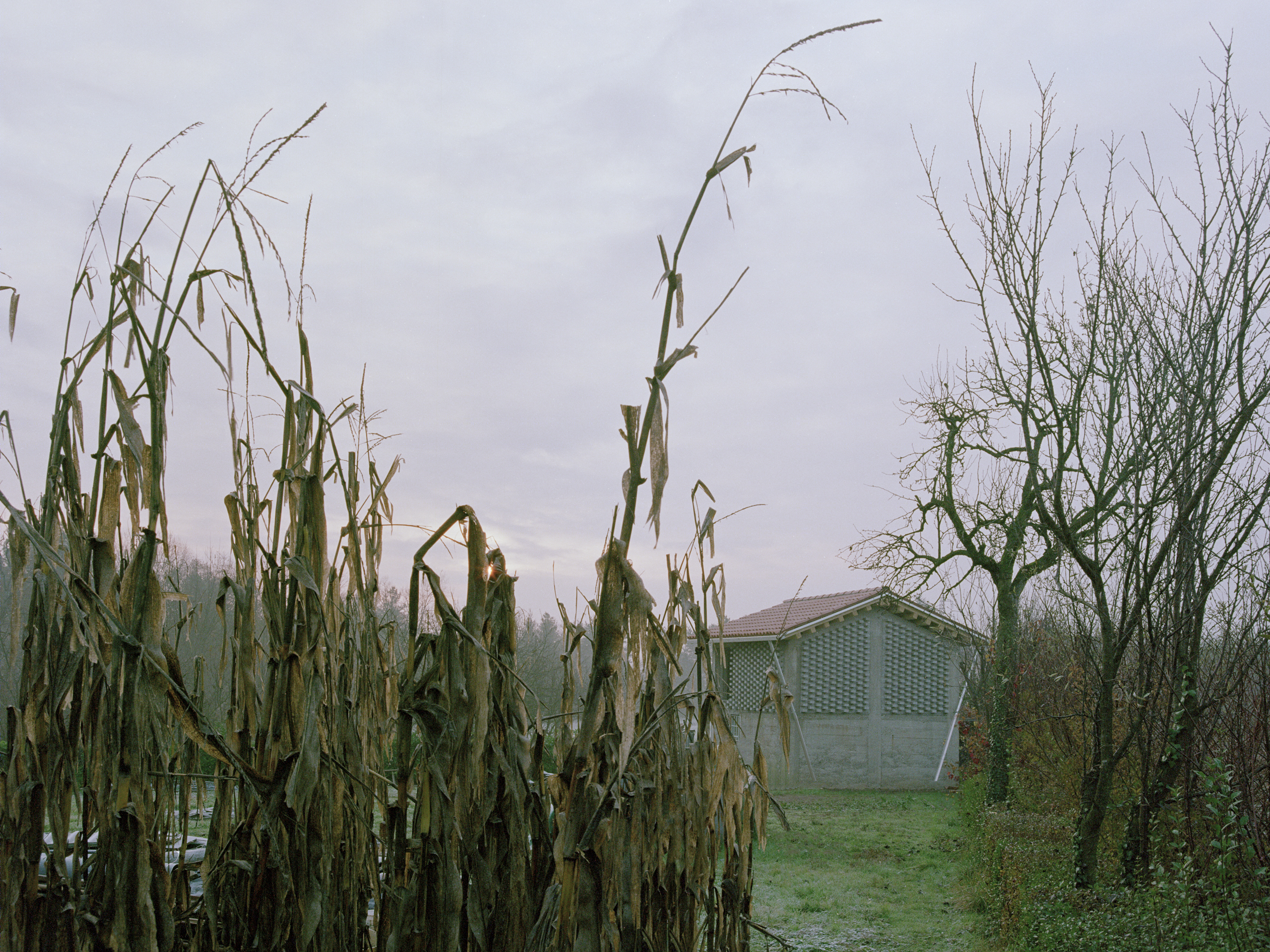 绿色之光 · 乡村小屋的生态改造丨意大利-18