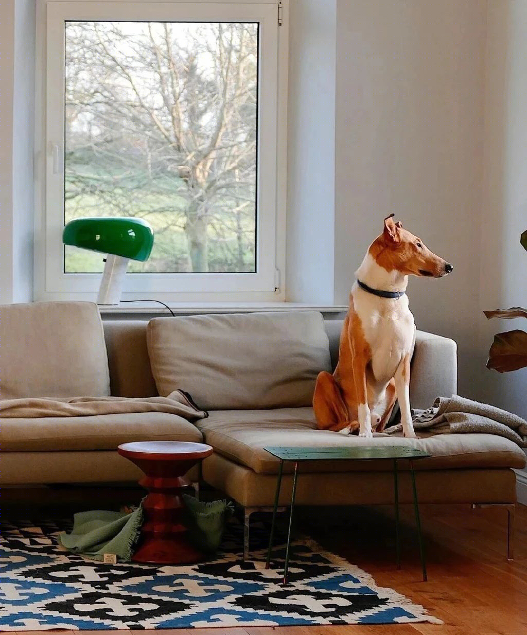 德国北部乡间小屋，经典家具与现代美学的完美融合-21