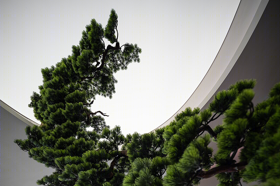 轻雾医疗美容中心设计-36