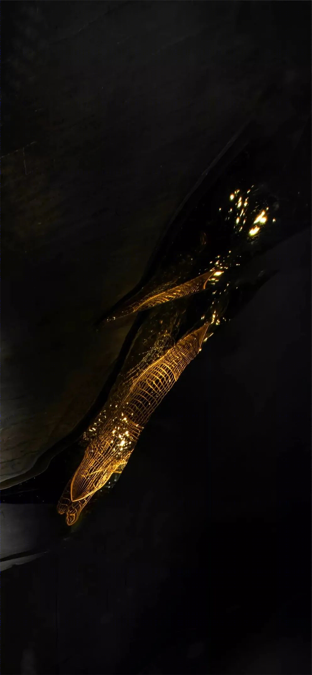 曼泰南洋 · 重庆 257㎡的泰式餐饮空间设计丨中国重庆丨Misty Lab 迷雾研究所,纳沃设计旗下品牌-53