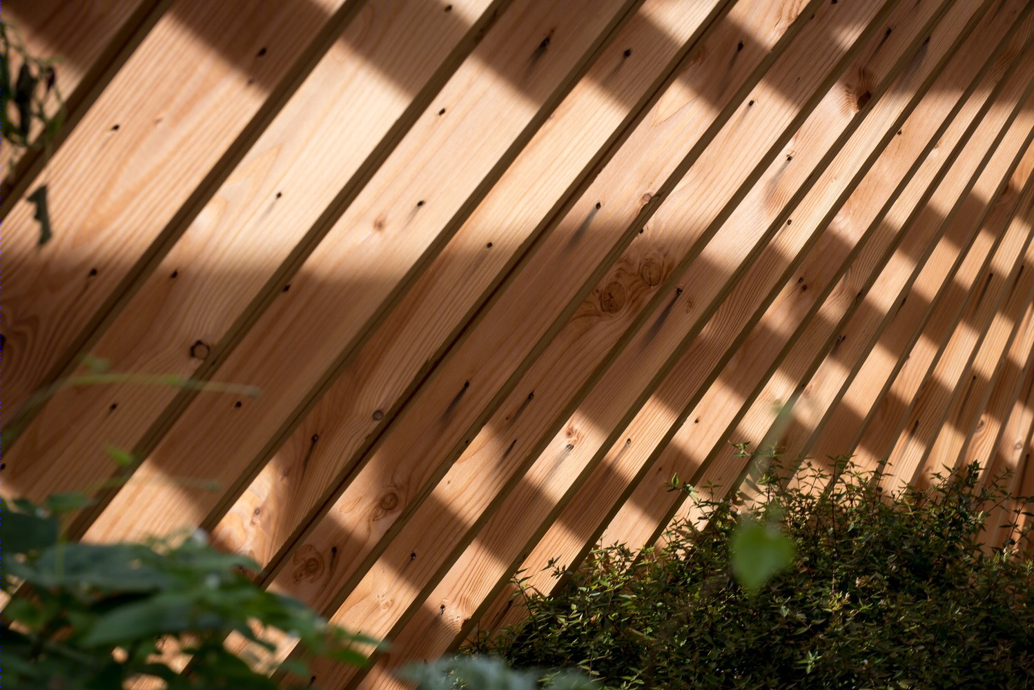 振荡工作室向量-48