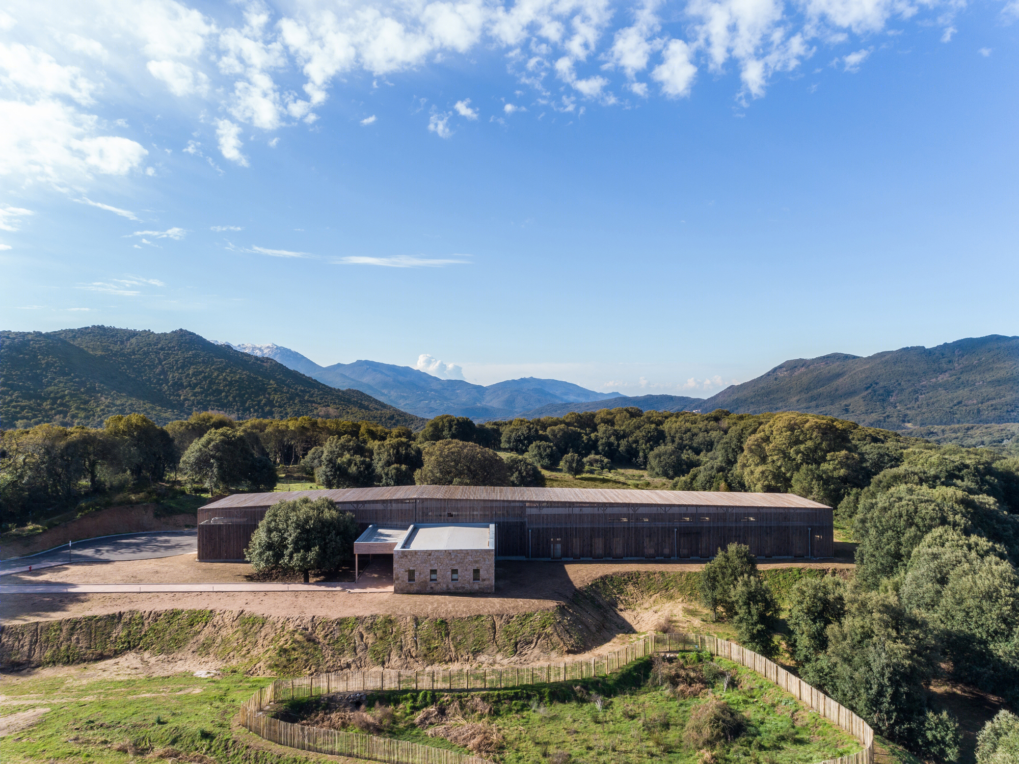 Strega 学校 | 绿意盎然的自然共生建筑-25