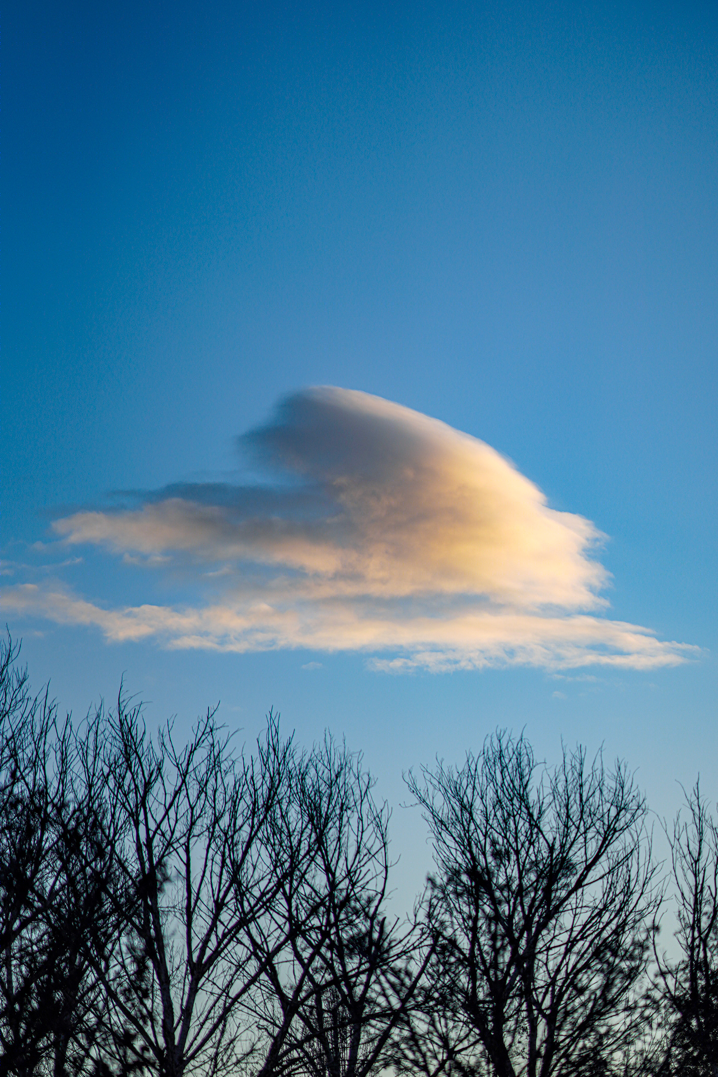 landscapes-2