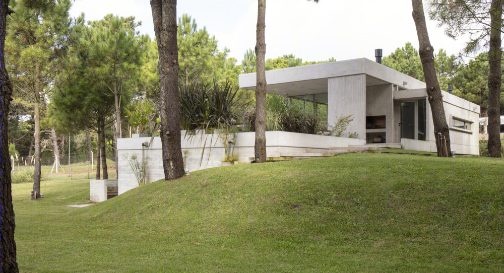 嵌入松林的静谧别墅-31